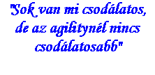 Szvegdoboz: "Sok van mi csodlatos,de az agilitynl nincs csodlatosabb"