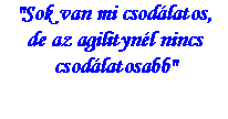 Szvegdoboz: "Sok van mi csodlatos,de az agilitynl nincs csodlatosabb"