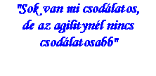 Szvegdoboz: "Sok van mi csodlatos,de az agilitynl nincs csodlatosabb"